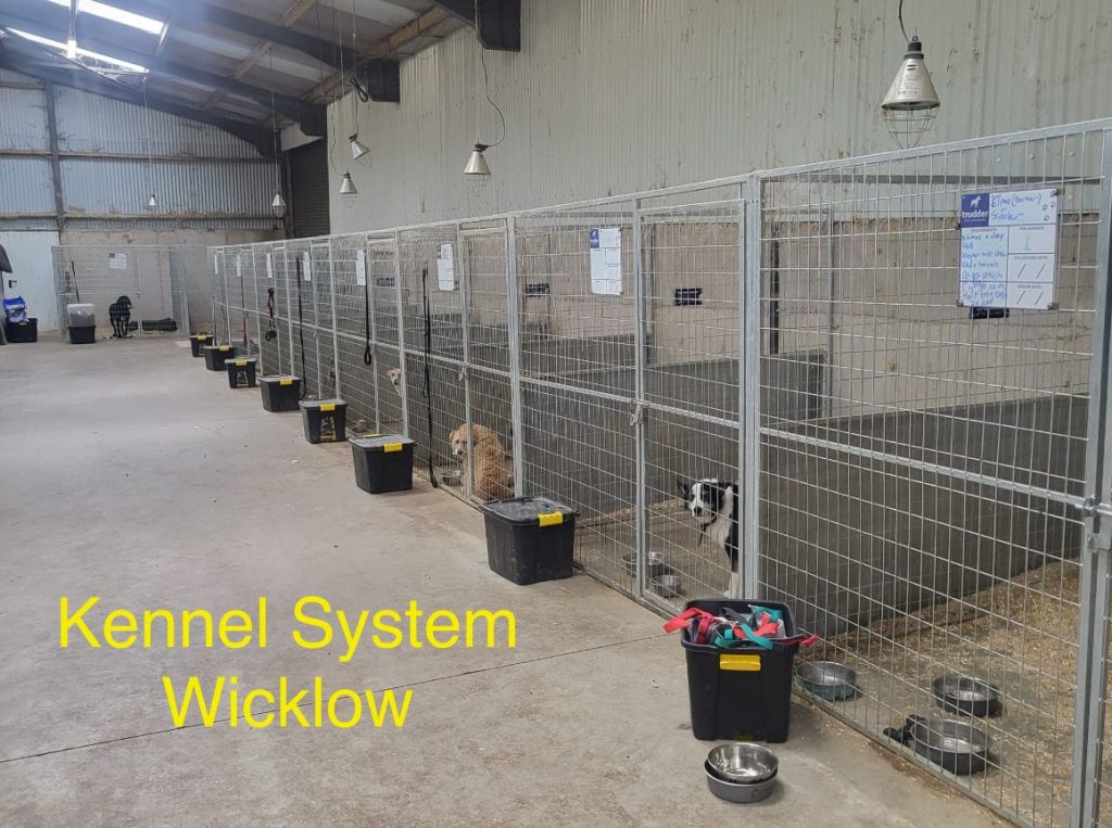 whatsapp image 2025 08 25 at 08.42.21 (5)